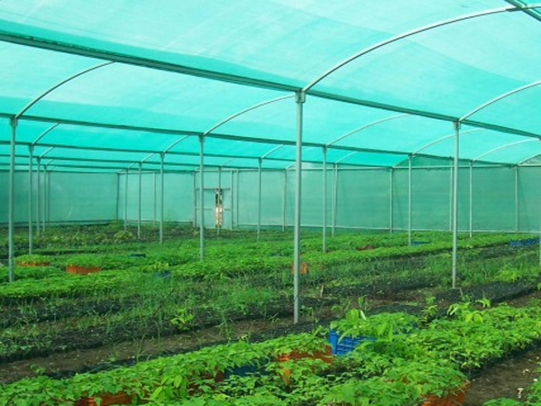 Agro Shade Nets